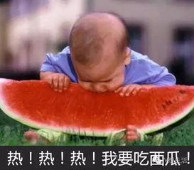吃瓜视频大赛,吃瓜视频大赛精彩回顾