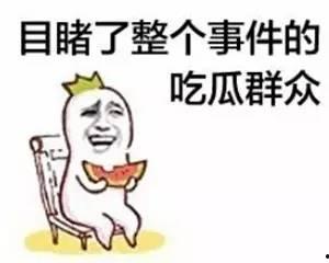 吃瓜群众骂街事件真相视频,还原网络暴力背后的真相