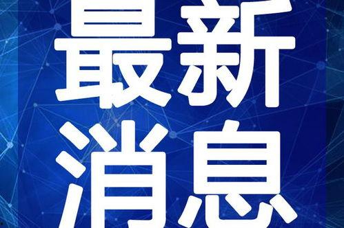 南宁本地吃瓜事件视频最新,一地鸡毛背后的网络热议与反思