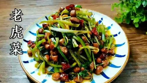 在线吃瓜老虎菜视频播放,揭秘网络热门视频背后的故事