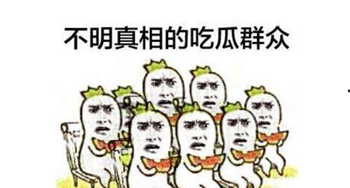 吃瓜群众决斗视频大全,一场场爆笑对决，带你领略网络狂欢