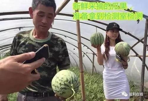 河南省实验事件视频吃瓜,一场网络舆论的风暴与反思